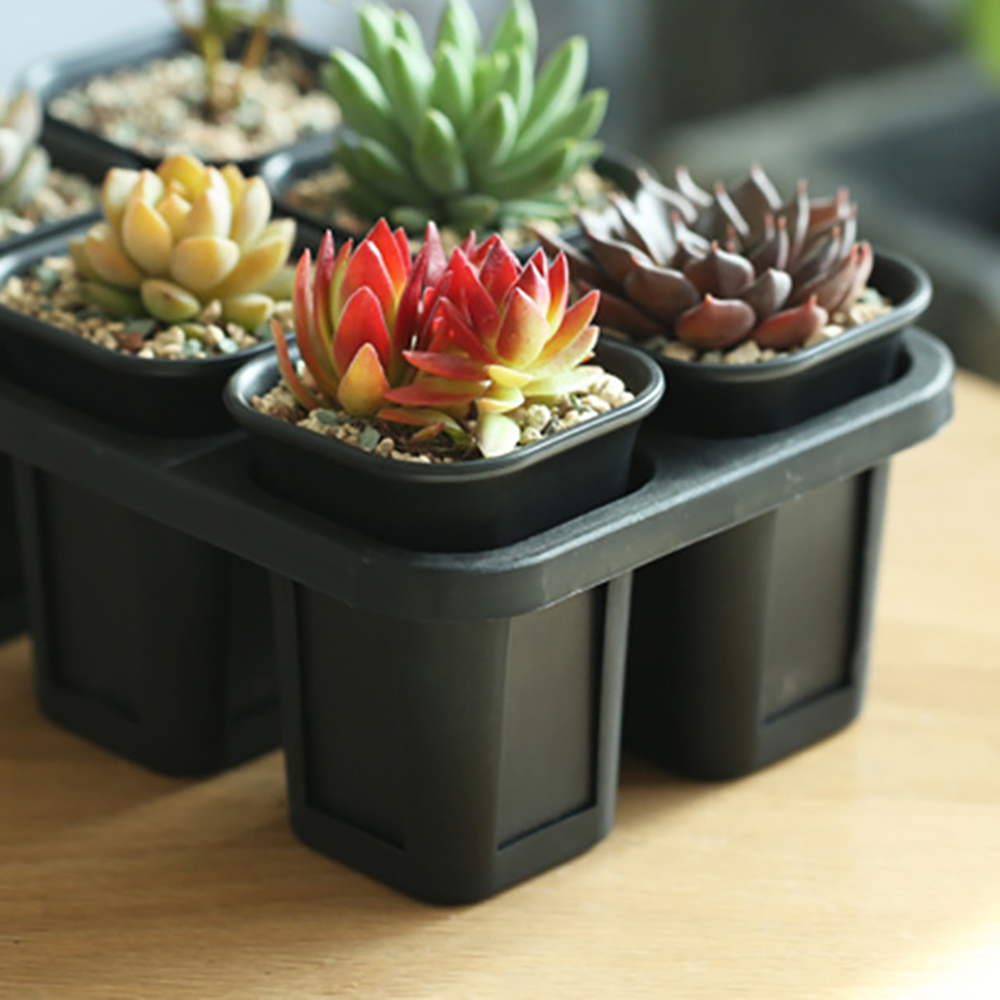 8 Holes Nursery Pot Plastic Su - Baby Nursery Green recensione e prezzo